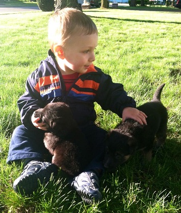 Nathan & pups